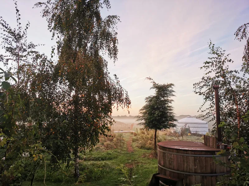 Voedselbos Welcome Home in Baexem - afbeelding 1